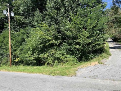 683 Delaware Ave, Albany, NY 12209 - photo 5