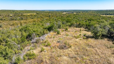 3895 County Road 512, Stephenville, TX 76401 - photo 5