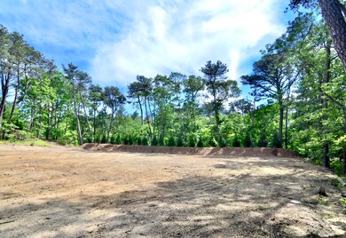 6 Major's Cove Ln, Edgartown, MA 02539 - photo 5