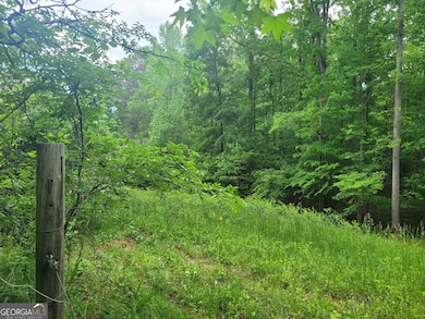 0 Fincherville Rd unit TRACT 3 10435292, Jackson, GA 30233 - photo 6