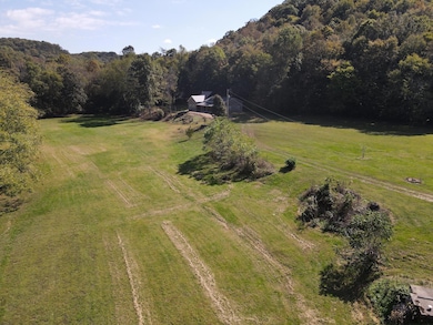 2748 Damron Creek Rd, Russell Springs, KY 42642 - photo 2