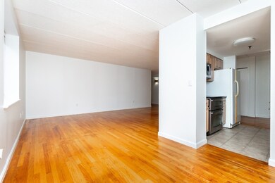 Claridge House Condominiums unit 603, Brighton, MA 02135 - photo 5