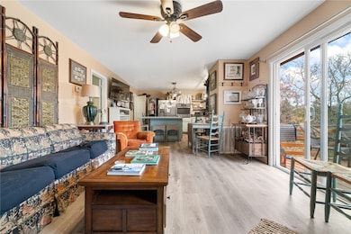 311 W Hazelwood Dr, Lead Hill, AR 72644 - photo 6