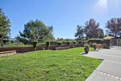 Huge Grassy Backyard and Patio 
