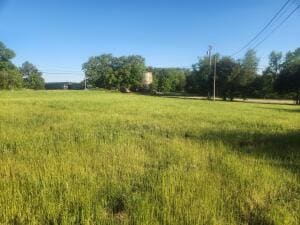 Tract 2 Castleberry, Lamar, AR 72846 - photo 2