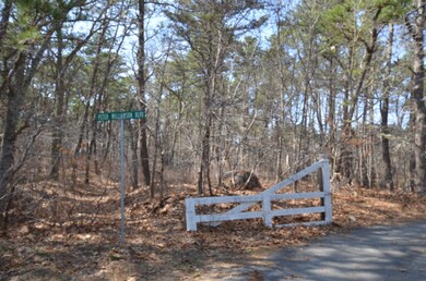 11 Peter M Williamson Blvd, Oak Bluffs, MA 02557 - photo 2