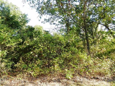 Tbd Hoot Owl Point, Ruth B Rural Township, MO 65686 - photo 6