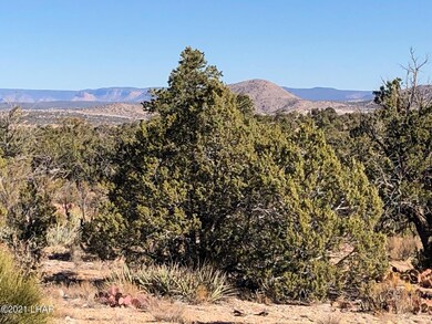 121.5 Greenview Ranch, Seligman, AZ 86337 - photo 3