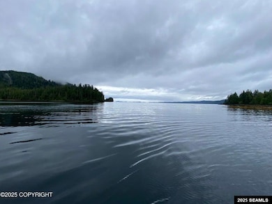 0 Legal Address Only unit Lot 4, Parcel E, US, Hollis, AK 99921 - photo 4