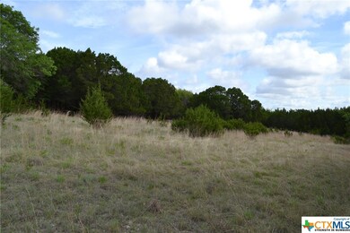 4.591 Acres Fushia Rd, Copperas Cove, TX 76522 - photo 5