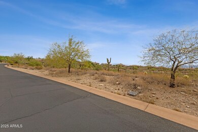 12387 Cloud Crest Trail unit 63, Scottsdale, AZ 85268 - photo 4