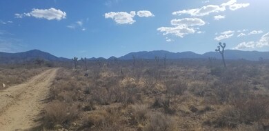 0 175th St E, Llano, CA 93544 - photo 4