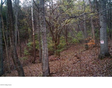 3-acre 6019 picture back pic 6 - Copy