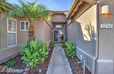 3250 W Ironwood Dr, Chandler, AZ 85226 - photo 3