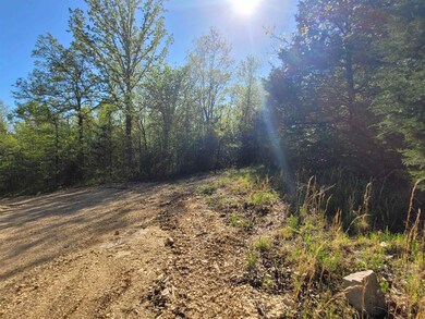 TBD Indian Valley Ln, Mammoth Spring, AR 72554 - photo 4