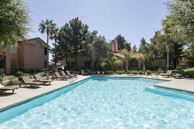 Main Heated pool/Spa (two other pools)