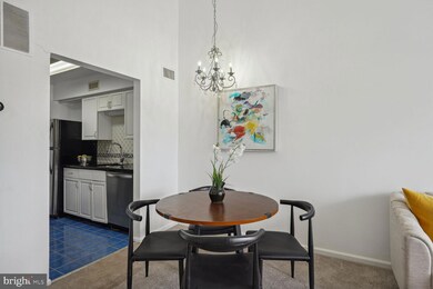 4544 28th Rd S unit 155, Arlington, VA 22206 - photo 6