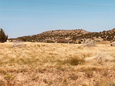 TBD Hart Ranch Rd, Beulah, CO 81023 - photo 3