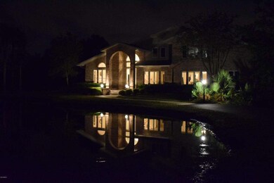 Night View