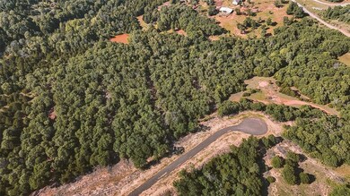 Aerial view of property's location with a forest