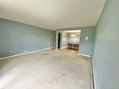 1220 S Lorraine Rd unit 3E, Wheaton, IL 60189 - photo 3