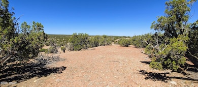 9182 Texas Ln, Show Low, AZ 85901 - photo 7