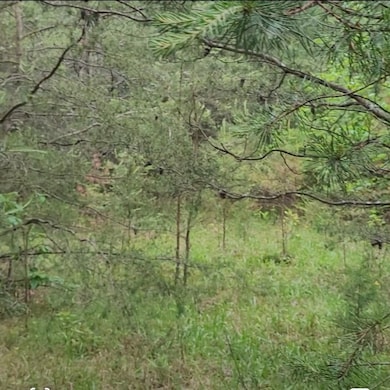 0 Palamino Way unit RTC2884048, Spencer, TN 38585 - photo 3