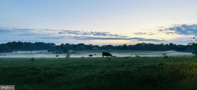 No Address Assigned. Cather Rd, Berryville, VA 22611 - photo 4