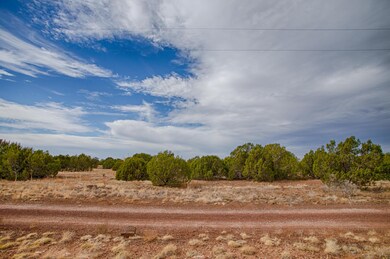 1280 Geronimo Dr, Show Low, AZ 85901 - photo 5