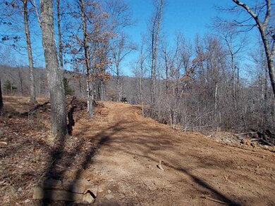 20 Acres Low Gap Rd, West Fork, AR 72774 - photo 4