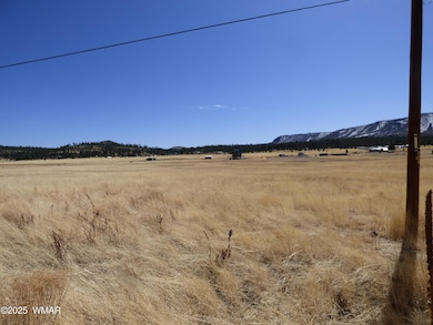 34 CR 2100 Alpine (1)