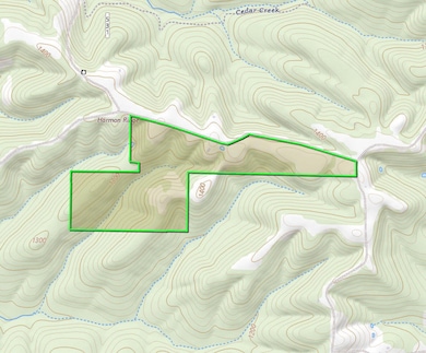 175 Topo