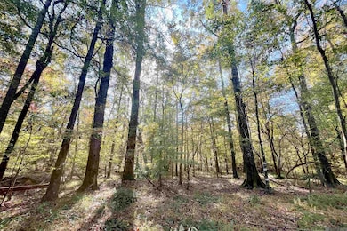 01 Stampley Rd, Roxie, MS 39661 - photo 5