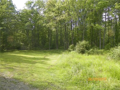 Cleared lot