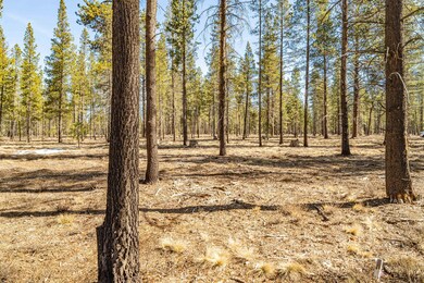 DSC07419-HDR