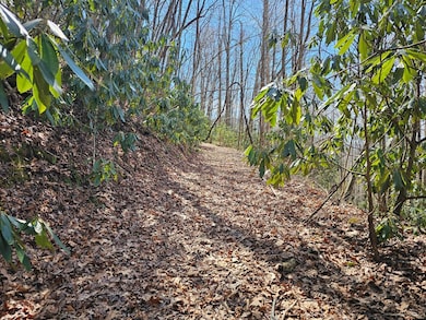 Lot 16 Warrior Way, Andrews, NC 28901 - photo 2