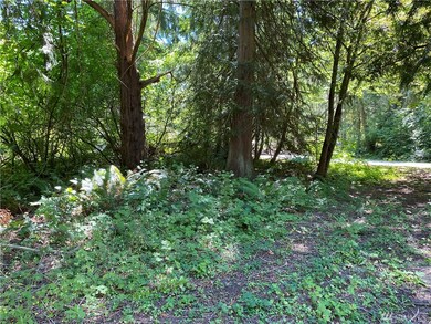 18528 Surcingle Ct SE, Yelm, WA 98597 - photo 3