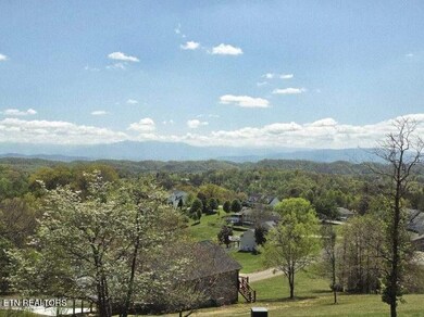 Panoramic mountain view
