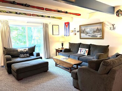 13 Stratton Rd W unit 13, Winhall, VT 05340 - photo 5