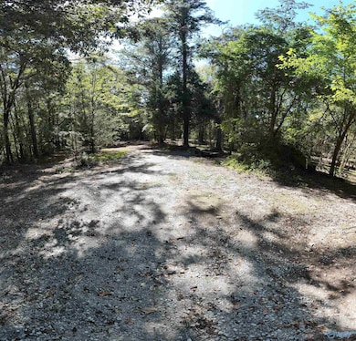 4316 Danville Rd SW, Decatur, AL 35603 - photo 2