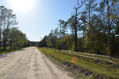 000 Sea Grass Dr unit 1, Keaton Beach, FL 32348 - photo 2