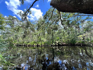 1528 NE Palm St, Steinhatchee, FL 32359 - photo 2