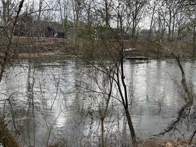 290 Raintree Valley Rd, Pangburn, AR 72121 - photo 5