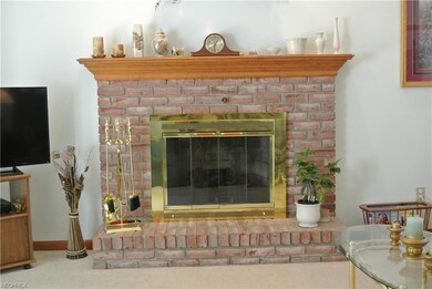 Gas fireplace