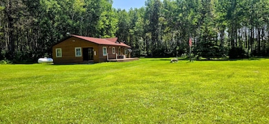 2965 Bankton Rd SW, Baudette, MN 56623 - photo 2