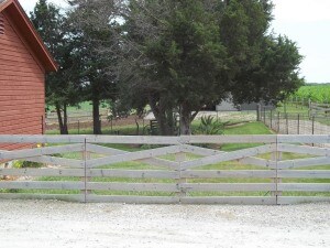 Fenced Back Yard