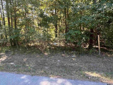 14688 Jade Forest Trail, Tyler, TX 75707 - photo 2