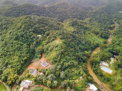 0 Bo Mulas Carr 174 Km Hm 19 6 Int unit SOLAR 1 MFRPR9111511, Aguas Buenas, PR 00703 - photo 7