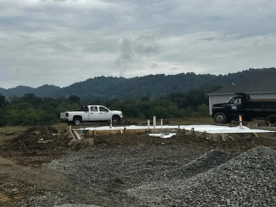 6215 Sycamore Stream Rd, Dandridge, TN 37725 - photo 2