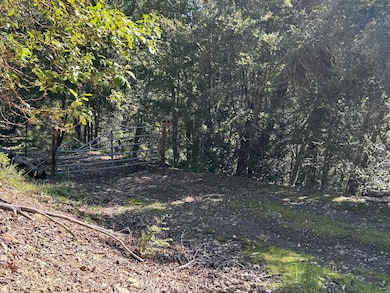 1301 Doreen Dr, Honeydew, CA 95545 - photo 7